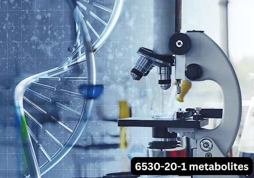 6530-20-1 metabolites