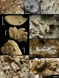 archaeology photo color scale online