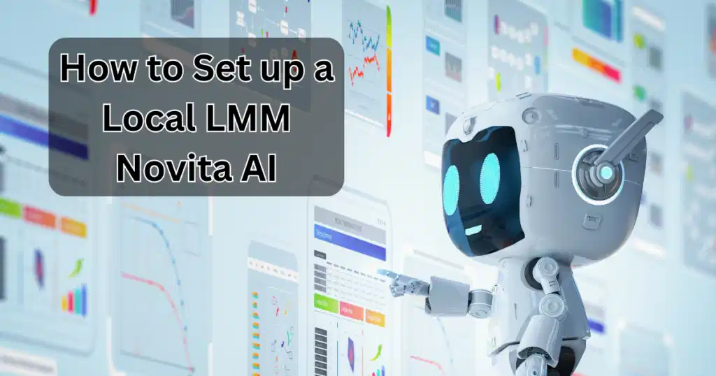 how to set up a local lmm novita ai