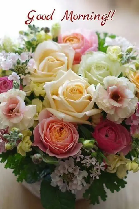 good morning flowers