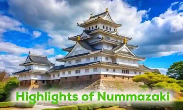 Highlights of Nummazaki: 10 Must-Know Insights